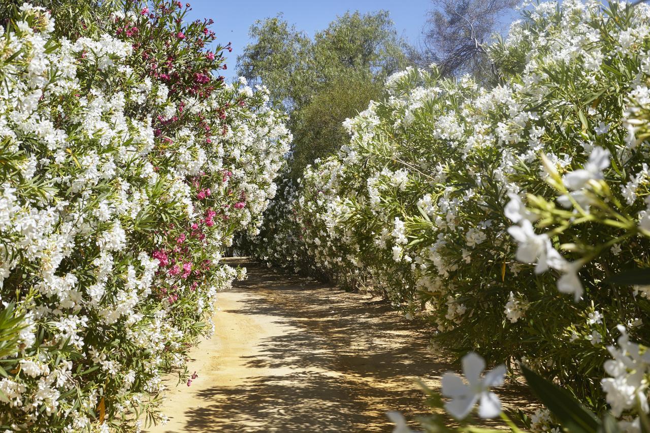 Отель Hacienda De San Rafael Лас-Кабесас-де-Сан-Хуан Экстерьер фото