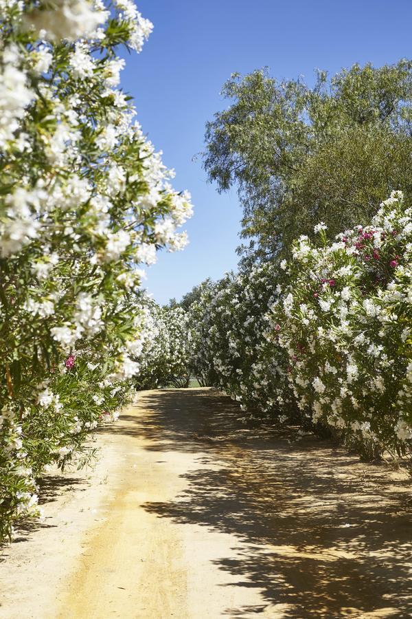 Отель Hacienda De San Rafael Лас-Кабесас-де-Сан-Хуан Экстерьер фото